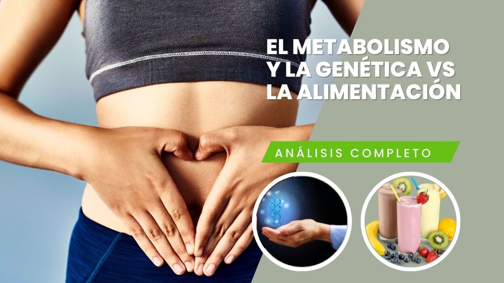 la alimentacion y la genetica