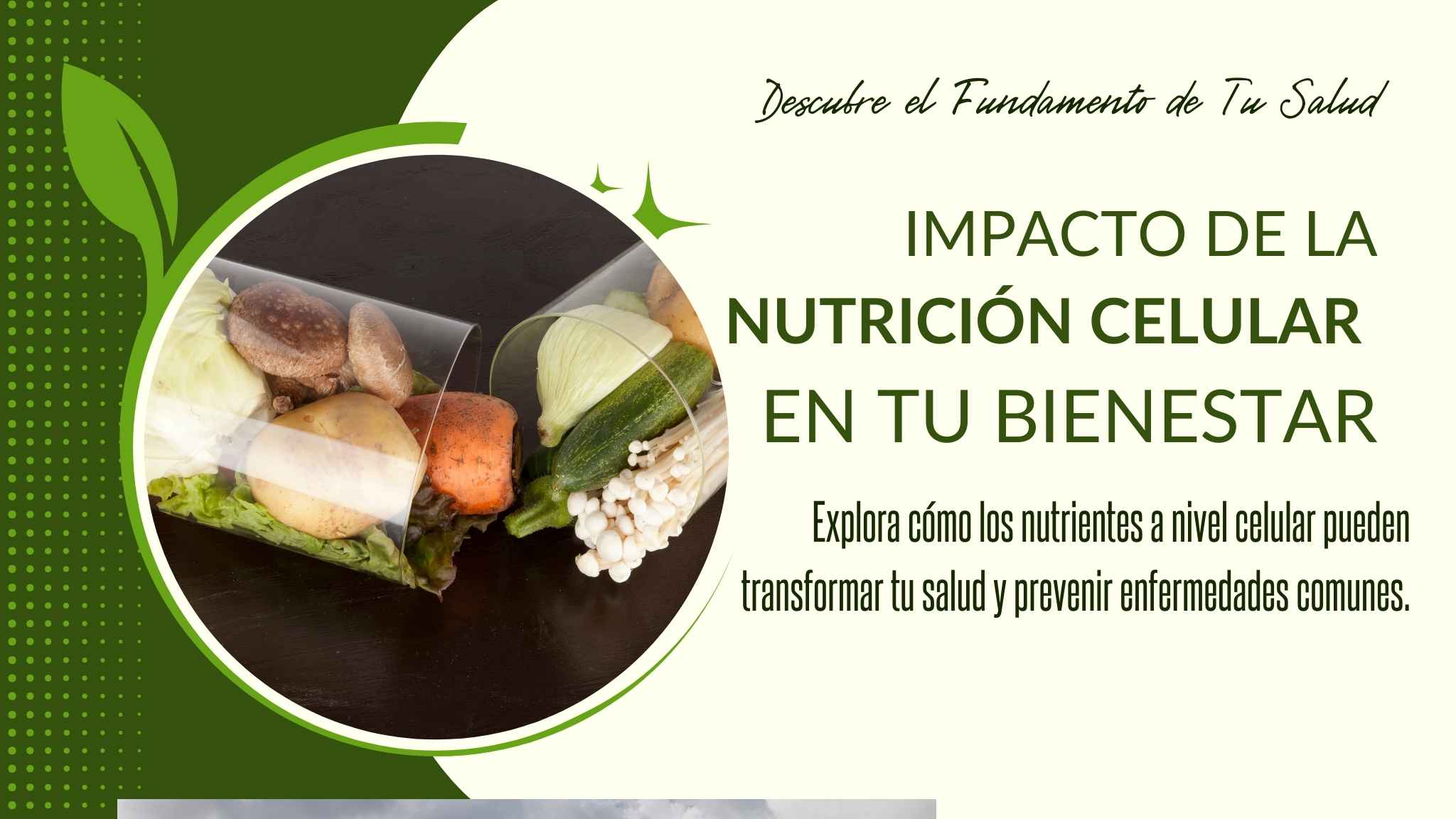 nutrición celular